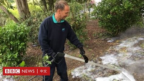 對草|科學與健康：既環保又減少危害的除草新法